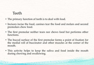 Conservative prosthodontic procedures to improve mandibular denture ...