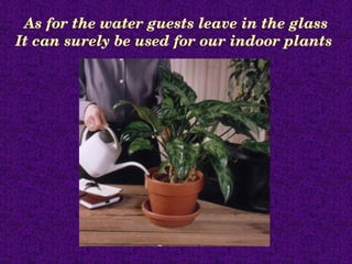 As for the water guests leave in the glass
It can surely be used for our indoor plants 
 