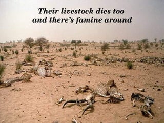 Their livestock dies too
 and there’s famine around
 