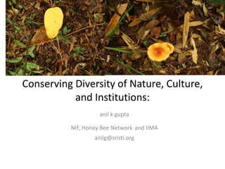 Conserving Diversity of Nature, Culture, 
and Institutions: 
anil k gupta 
NIF, Honey Bee Network and IIMA 
anilg@sristi.org 
 