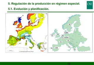 5. Regulación de la producción en régimen especial. 
5.1. Evolución y planificación. 
58 
 