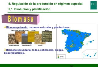 5. Regulación de la producción en régimen especial. 
5.1. Evolución y planificación. 
60 
Biomasa primaria: recursos naturales y plantaciones 
Biomasa secundaria: lodos, estiércoles, biogás, 
biocombustibles.. 
Año 2001 
Año 2002 
 