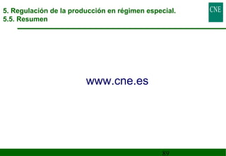 5. Regulación de la producción en régimen especial. 
5.5. Resumen 
89 
www.cne.es 
 