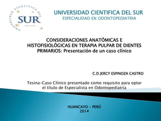 UNIVERSIDAD CIENTIFICA DEL SUR
ESPECIALIDAD EN ODONTOPEDIATRIA
CONSIDERACIONES ANATÓMICAS E
HISTOFISIOLÓGICAS EN TERAPIA PULPAR DE DIENTES
PRIMARIOS: Presentación de un caso clínico
C.D JERCY ESPINOZA CASTRO
Tesina-Caso Clínico presentado como requisito para optar
el título de Especialista en Odontopediatría
HUANCAYO - PERÚ
2014
 