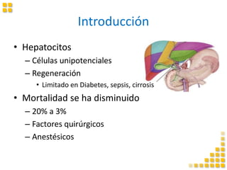 Introducción
• Hepatocitos
– Células unipotenciales
– Regeneración
• Limitado en Diabetes, sepsis, cirrosis
• Mortalidad se ha disminuido
– 20% a 3%
– Factores quirúrgicos
– Anestésicos
 