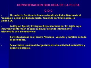 CONSIDERACION BIOLOGIA DE LA PULPA
C D C
- El conducto Dentinario donde se localiza la Pulpa Dentinaria el
“campo de acción del Endodoncista. Teniendo por límite apical la
unión CDC.
- La Región Apical y Periapical.Representados por los tejidos que
incluyen y contornean el ápice radicular estando intimamente
relacionada con el endodoncio.
- Constituyéndose en el centro Nervioso , vascular y linfático de todo
el periodonto.
- Se considera un área del organismo de alta actividad metabólica y
aspecto biológico.
 