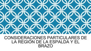 CONSIDERACIONES PARTICULARES DE
LA REGIÓN DE LA ESPALDA Y EL
BRAZO
 