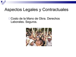 Aspectos Legales y Contractuales Costo de la Mano de Obra. Derechos Laborales. Seguros. 