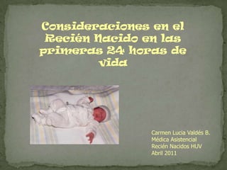 Consideraciones en el Recién Nacido en las primeras 24 horas de vida Carmen Lucia Valdés B. Médica Asistencial  Recién Nacidos HUV Abril 2011 