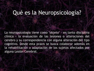 Consideraciones reliminares neuropsicologia para principiantes 2011