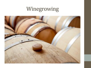 Winegrowing	
  	
  
 