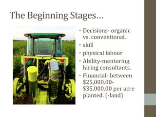 The	
  Beginning	
  Stages…	
  
•  Decisions-­‐	
  organic	
  
vs.	
  conventional.	
  
•  skill	
  
•  physical	
  labour	
  
•  Ability-­‐mentoring,	
  
hiring	
  consultants.	
  
•  Financial-­‐	
  between	
  
$25,000.00-­‐
$35,000.00	
  per	
  acre	
  
planted.	
  (-­‐land)	
  
 