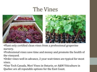 The	
  Vines	
  
• Plant	
  only	
  certibied	
  clean	
  vines	
  from	
  a	
  professional	
  grapevine	
  
nursery.	
  
• Professional	
  vines	
  save	
  time	
  and	
  money	
  and	
  promote	
  the	
  health	
  of	
  
the	
  vineyard.	
  
• Order	
  vines	
  well	
  in	
  advance,	
  2	
  year	
  wait	
  times	
  are	
  typical	
  for	
  most	
  
vines.	
  
• Vine	
  Tech	
  Canada,	
  Mori	
  Vines	
  in	
  Ontario,	
  or	
  A&M	
  Viticulture	
  in	
  
Quebec	
  are	
  all	
  reputable	
  options	
  for	
  the	
  East	
  Coast.	
  
 