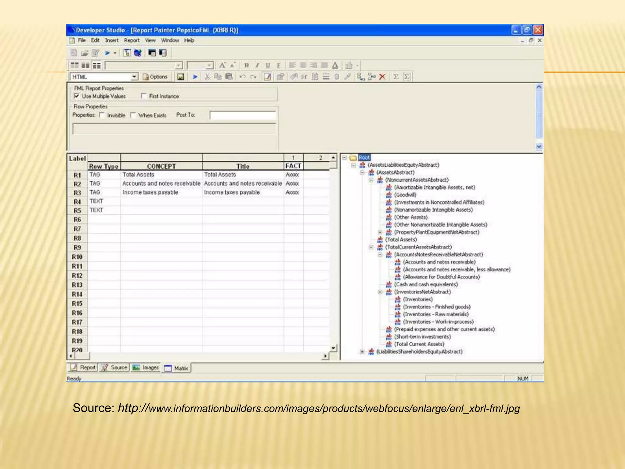 Source: http://www.informationbuilders.com/images/products/webfocus/enlarge/enl_xbrl-fml.jpg