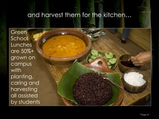and harvest them for the kitchen…

Green
School
Lunches
are 50%+
grown on
campus
with
planting,
caring and
harvesting
all assisted
by students

                                          Page 41
 