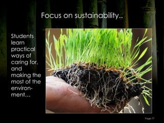 Focus on sustainability..

Students
learn
practical
ways of
caring for,
and
making the
most of the
environ-
ment…



                                      Page 77
 