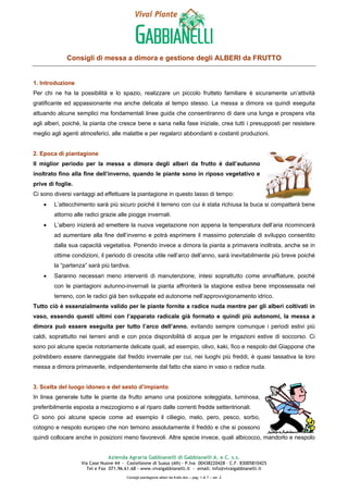 Consigli di messa a dimora e gestione degli ALBERI da FRUTTO
Azienda Agraria Gabbianelli di Gabbianelli A. e C. s.s.
Via Case Nuove 44 - Castelleone di Suasa (AN) - P.Iva 00438220428 – C.F. 83005810425
Tel e Fax 071.96.61.68 - www.vivaigabbianelli.it - email: info@vivaigabbianelli.it
Consigli piantagione alberi da frutto.doc – pag. 1 di 7 – ver. 2
1. Introduzione
Per chi ne ha la possibilità e lo spazio, realizzare un piccolo frutteto familiare è sicuramente un’attività
gratificante ed appassionante ma anche delicata al tempo stesso. La messa a dimora va quindi eseguita
attuando alcune semplici ma fondamentali linee guida che consentiranno di dare una lunga e prospera vita
agli alberi, poiché, la pianta che cresce bene e sana nella fase iniziale, crea tutti i presupposti per resistere
meglio agli agenti atmosferici, alle malattie e per regalarci abbondanti e costanti produzioni.
2. Epoca di piantagione
Il miglior periodo per la messa a dimora degli alberi da frutto è dall’autunno
inoltrato fino alla fine dell’inverno, quando le piante sono in riposo vegetativo e
prive di foglie.
Ci sono diversi vantaggi ad effettuare la piantagione in questo lasso di tempo:
• L’attecchimento sarà più sicuro poiché il terreno con cui è stata richiusa la buca si compatterà bene
attorno alle radici grazie alle piogge invernali.
• L’albero inizierà ad emettere la nuova vegetazione non appena la temperatura dell’aria ricomincerà
ad aumentare alla fine dell’inverno e potrà esprimere il massimo potenziale di sviluppo consentito
dalla sua capacità vegetativa. Ponendo invece a dimora la pianta a primavera inoltrata, anche se in
ottime condizioni, il periodo di crescita utile nell’arco dell’anno, sarà inevitabilmente più breve poiché
la “partenza” sarà più tardiva.
• Saranno necessari meno interventi di manutenzione, intesi soprattutto come annaffiature, poiché
con le piantagioni autunno-invernali la pianta affronterà la stagione estiva bene impossessata nel
terreno, con le radici già ben sviluppate ed autonome nell’approvvigionamento idrico.
Tutto ciò è essenzialmente valido per le piante fornite a radice nuda mentre per gli alberi coltivati in
vaso, essendo questi ultimi con l’apparato radicale già formato e quindi più autonomi, la messa a
dimora può essere eseguita per tutto l’arco dell’anno, evitando sempre comunque i periodi estivi più
caldi, soprattutto nei terreni aridi e con poca disponibilità di acqua per le irrigazioni estive di soccorso. Ci
sono poi alcune specie notoriamente delicate quali, ad esempio, olivo, kaki, fico e nespolo del Giappone che
potrebbero essere danneggiate dal freddo invernale per cui, nei luoghi più freddi, è quasi tassativa la loro
messa a dimora primaverile, indipendentemente dal fatto che siano in vaso o radice nuda.
3. Scelta del luogo idoneo e del sesto d’impianto
In linea generale tutte le piante da frutto amano una posizione soleggiata, luminosa,
preferibilmente esposta a mezzogiorno e al riparo dalle correnti fredde settentrionali.
Ci sono poi alcune specie come ad esempio il ciliegio, melo, pero, pesco, sorbo,
cotogno e nespolo europeo che non temono assolutamente il freddo e che si possono
quindi collocare anche in posizioni meno favorevoli. Altre specie invece, quali albicocco, mandorlo e nespolo
 