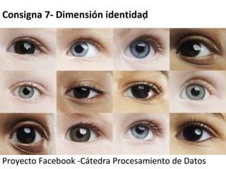 Proyecto Facebook -Cátedra Procesamiento de Datos   Consigna 7- Dimensión identidad  