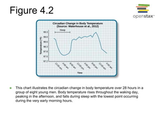 Figure 4.2
 This chart illustrates the circadian change in body temperature over 28 hours in a
group of eight young men. Body temperature rises throughout the waking day,
peaking in the afternoon, and falls during sleep with the lowest point occurring
during the very early morning hours.
 