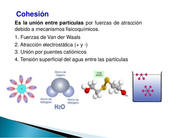 Consistencia del suelo