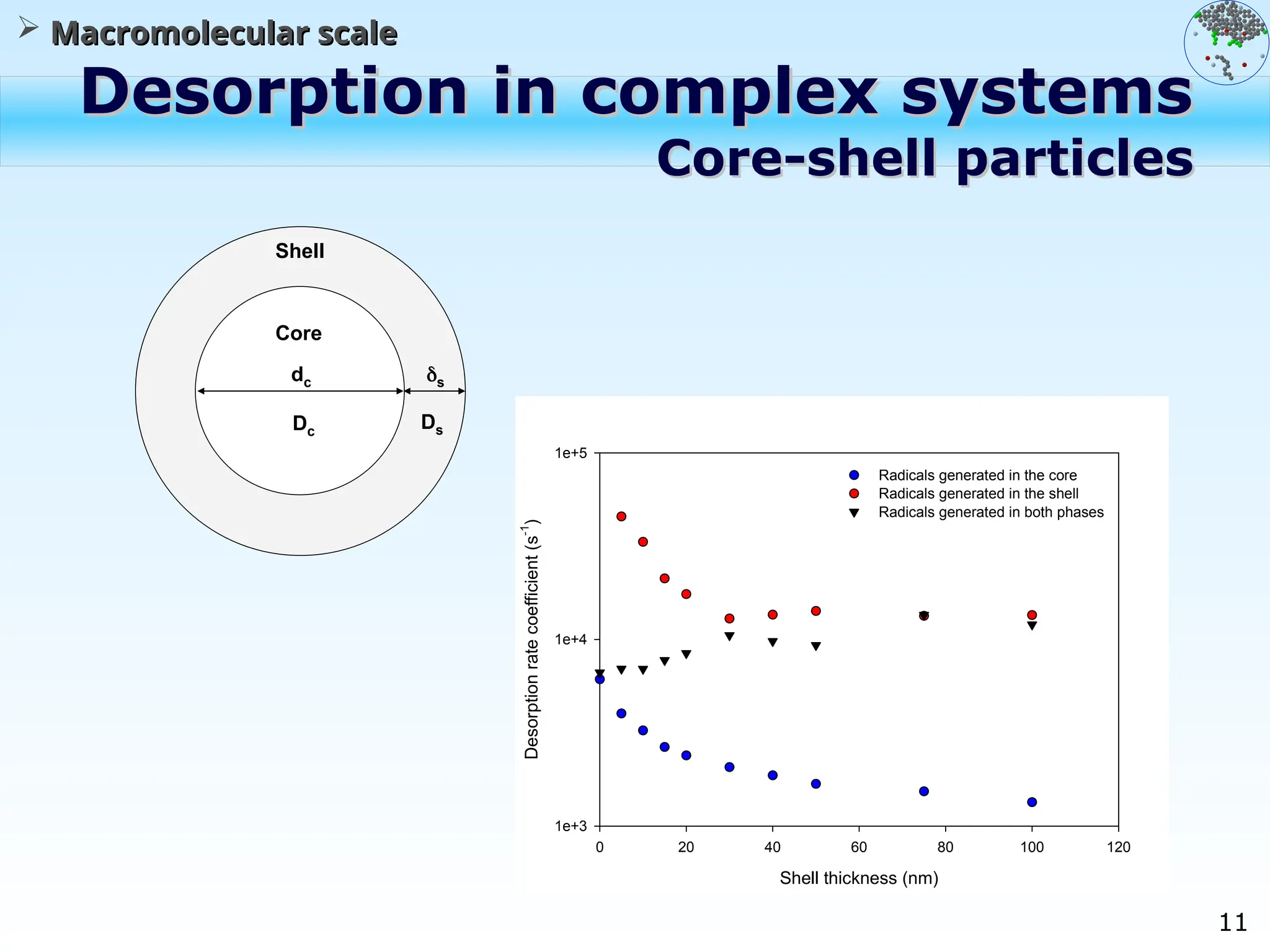 11
Desorption in complex systems
Desorption in complex systems
Core-shell particles
Core-shell particles
Shell
Core
dc s
Dc
Ds
 Macromolecular scale
Macromolecular scale
Shell thickness (nm)
0 20 40 60 80 100 120
Desorption
rate
coefficient
(s
-1
)
1e+3
1e+4
1e+5
Radicals generated in the core
Radicals generated in the shell
Radicals generated in both phases
 