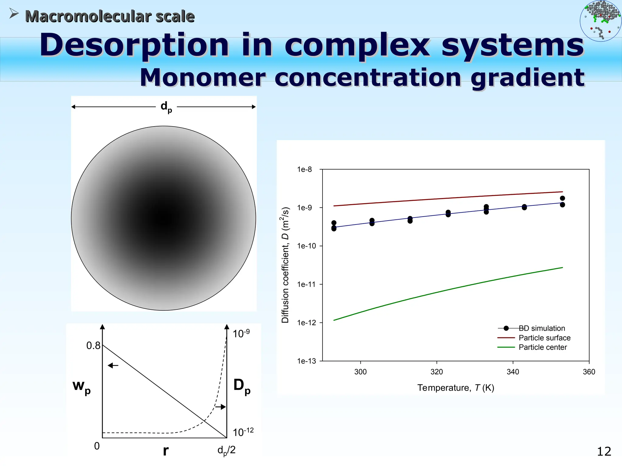 12
Desorption in complex systems
Desorption in complex systems
Monomer concentration gradient
Monomer concentration gradient
 Macromolecular scale
Macromolecular scale
Temperature, T (K)
300 320 340 360
Diffusion
coefficient,
D
(m
2
/s)
1e-13
1e-12
1e-11
1e-10
1e-9
1e-8
BD simulation
Particle surface
Particle center
dp
wp
0.8
0 dp/2
r
Dp
10-9
10-12
 