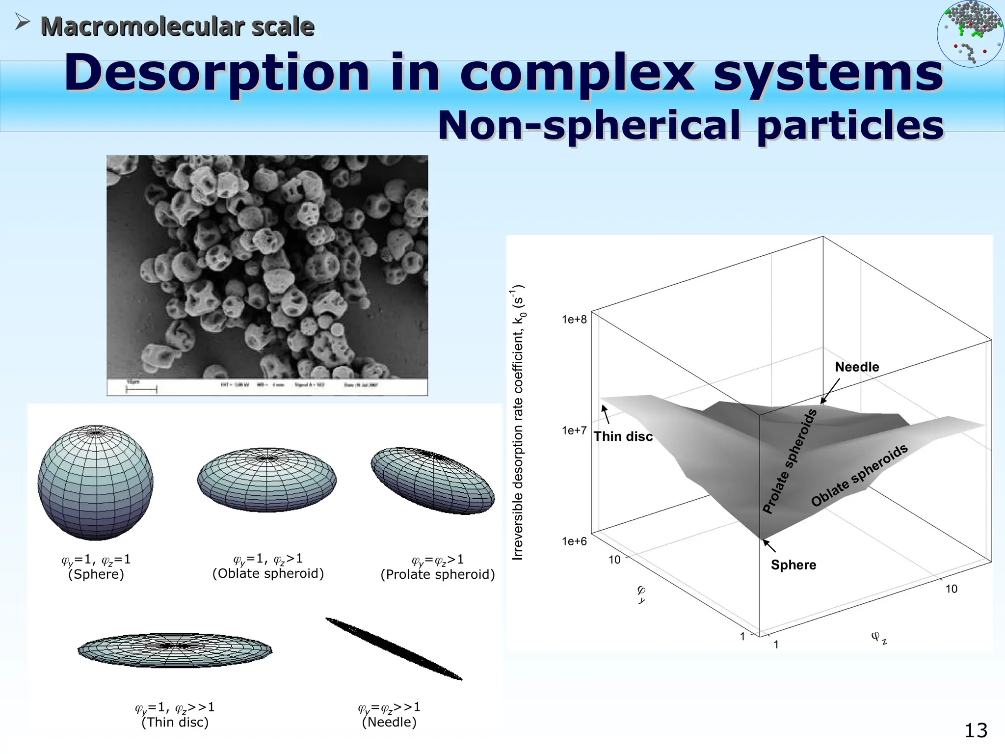13
Desorption in complex systems
Desorption in complex systems
Non-spherical particles
Non-spherical particles
 Macromolecular scale
Macromolecular scale
y=1, z=1
(Sphere)
y=1, z>1
(Oblate spheroid)
y=z>1
(Prolate spheroid)
y=1, z>>1
(Thin disc)
y=z>>1
(Needle)
1e+6
1e+7
1e+8
1
10
1
10
Irreversible
desorption
rate
coefficient,
k
0
(s
-1
)
 z

y
Sphere
Needle
Thin disc
Oblate spheroids
P
r
o
l
a
t
e
s
p
h
e
r
o
i
d
s
 