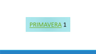 PRIMAVERA 1
 