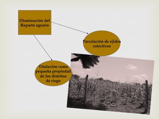 Disminución del
Reparto agrario

Parcelación de ejidos
colectivos

Titulación como
pequeña propiedad
de los distritos
de riego

 