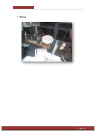 Página 15 
7 Balanza 
 