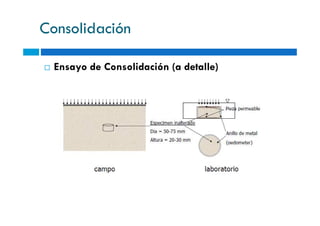 Consolidación
Ensayo de Consolidación (a detalle)
 