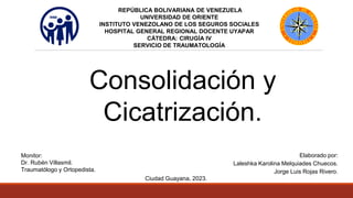 REPÚBLICA BOLIVARIANA DE VENEZUELA
UNIVERSIDAD DE ORIENTE
INSTITUTO VENEZOLANO DE LOS SEGUROS SOCIALES
HOSPITAL GENERAL REGIONAL DOCENTE UYAPAR
CÁTEDRA: CIRUGÍA IV
SERVICIO DE TRAUMATOLOGÍA
Consolidación y
Cicatrización.
Monitor:
Dr. Rubén Villasmil.
Traumatólogo y Ortopedista.
Elaborado por:
Laleshka Karolina Melquiades Chuecos.
Jorge Luis Rojas Rivero.
Ciudad Guayana, 2023.
 