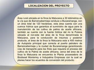 LOCALIZACION DEL PROYECTO



Área rural ubicada en la finca la Matucana a 30 kilómetros en
la vía que de Barrancabermeja conduce a Bucaramanga, con
un área total de 120 hectáreas, esta área cuenta con una
cuenca hídrica que garantiza el suministro de agua para la
manutención de los cultivo de palma de aceite africana,
también se cuenta con la fuente hídrica del rio la Putana
ubicada al nor-este del área de la finca denominada la
Matucana, para la conducción de insumos y posterior
producto, el área de la finca la Matucana esta a 400 metros
de Autopista principal que conecta al puerto petrolero de
Barrancabermeja y la ciudad de Bucaramanga garantizando
vías de transporte para los fines que requiera el proceso del
cultivo de la Palma de aceite africana, cerca del área de la
finca la Matucana se encuentra la Planta procesadora de
Biodiesel Monterrey e Indupalma Empresas con la cual se
planea hacer los acuerdos de conversión del producto.
 