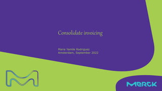 Maria Yamile Rodriguez
Amsterdam, September 2022
Consolidate invoicing
 
