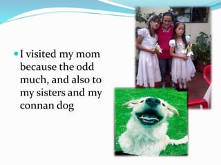 I visited my mom
because the odd
much, and also to
my sisters and my
connan dog
 