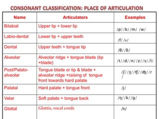 Name Articulators Examples
Bilabial Upper lip + lower lip
Labio-dental Lower lip + upper teeth
Dental Upper teeth + tongue tip
Alveolar Alveolar ridge + tongue blade (tip
+blade)
Post/Palato-
alveolar
Tongue blade or tip & blade +
alveolar ridge +raising of tongue
front towards hard palate
Palatal Hard palate + tongue front
Velar Soft palate + tongue back
Glottal Glottis, vocal cords
/p//b//m/ /w/
/f/ /v/
/θ//δ/
/t//d//n//z//s//l/
/ʃ//ʒ//ʧ//ʤ//r
/
/j/
/ŋ//k//g/
/h/
 