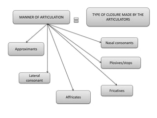 MANNER OF ARTICULATION
TYPE OF CLOSURE MADE BY THE
ARTICULATORS
Nasal consonants
Plosives/stops
Fricatives
Affricates
Lateral
consonant
Approximants
 