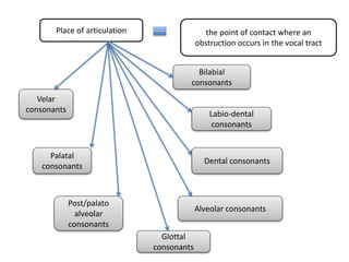 Place of articulation the point of contact where an
obstruction occurs in the vocal tract
Bilabial
consonants
Labio-dental
consonants
Dental consonants
Alveolar consonants
Post/palato
alveolar
consonants
Palatal
consonants
Velar
consonants
Glottal
consonants
 