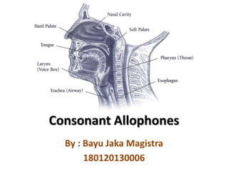 Consonant Allophones
By : Bayu Jaka Magistra
180120130006

 