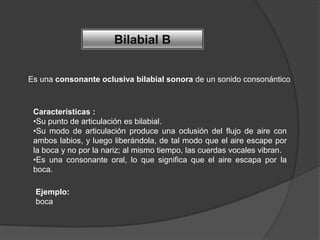 Bilabial B


Es una consonante oclusiva bilabial sonora de un sonido consonántico



 Características :
 •Su punto de articulación es bilabial.
 •Su modo de articulación produce una oclusión del flujo de aire con
 ambos labios, y luego liberándola, de tal modo que el aire escape por
 la boca y no por la nariz; al mismo tiempo, las cuerdas vocales vibran.
 •Es una consonante oral, lo que significa que el aire escapa por la
 boca.

 Ejemplo:
 boca
 
