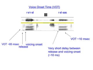 Vot Spectrogram Consonants | PPT