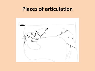 Places of articulation

 