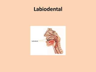 Labiodental

 