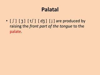 Palatal
• [ ʃ ] [ ʒ ] [ tʃ ] [ dʒ ] [ j ] are produced by
raising the front part of the tongue to the
palate.

 