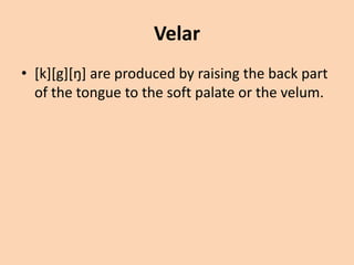 Velar
• [k][g][ŋ] are produced by raising the back part
of the tongue to the soft palate or the velum.

 