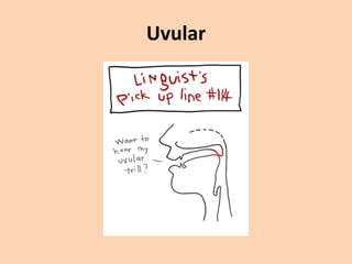 Uvular

 