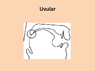 Uvular

 