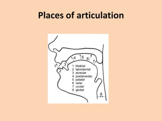 Places of articulation

 