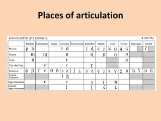 Places of articulation

 