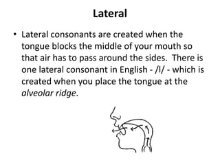 Lateral 
• Lateral consonants are created when the 
tongue blocks the middle of your mouth so 
that air has to pass around the sides. There is 
one lateral consonant in English - /l/ - which is 
created when you place the tongue at the 
alveolar ridge. 
 